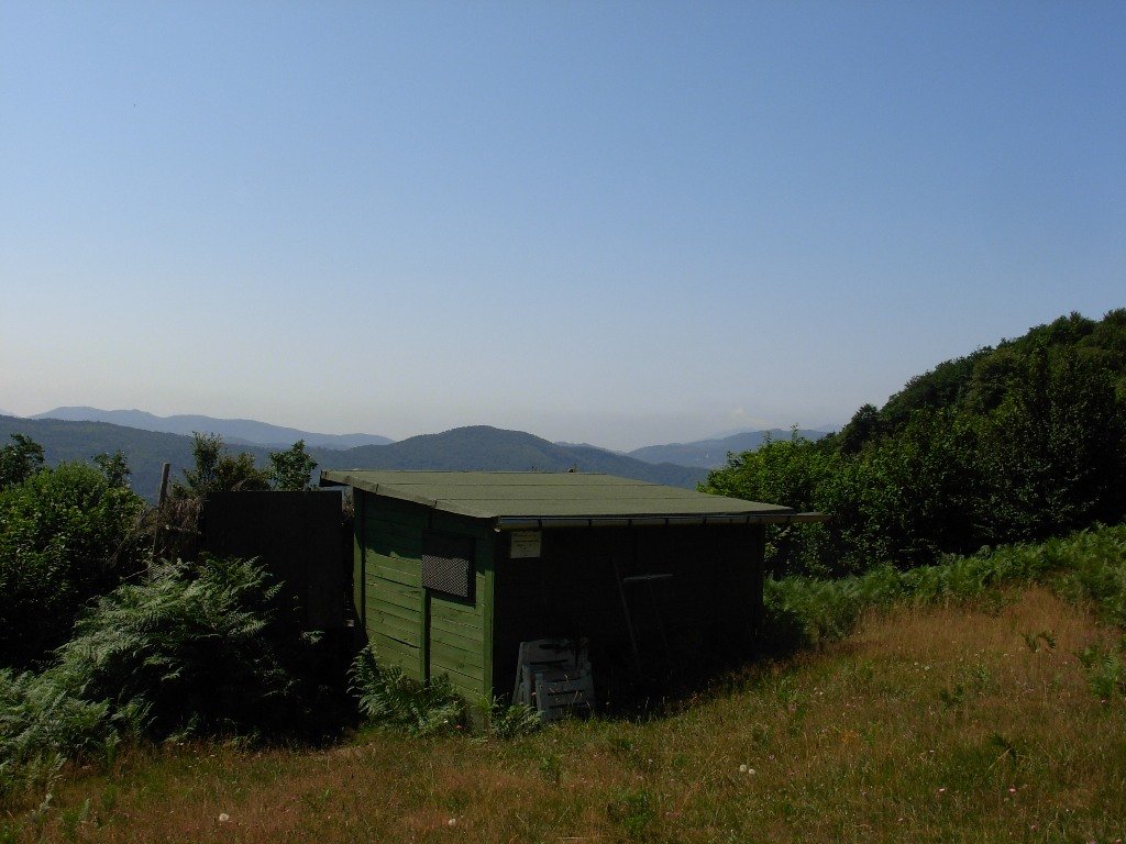 dscn0023.jpg