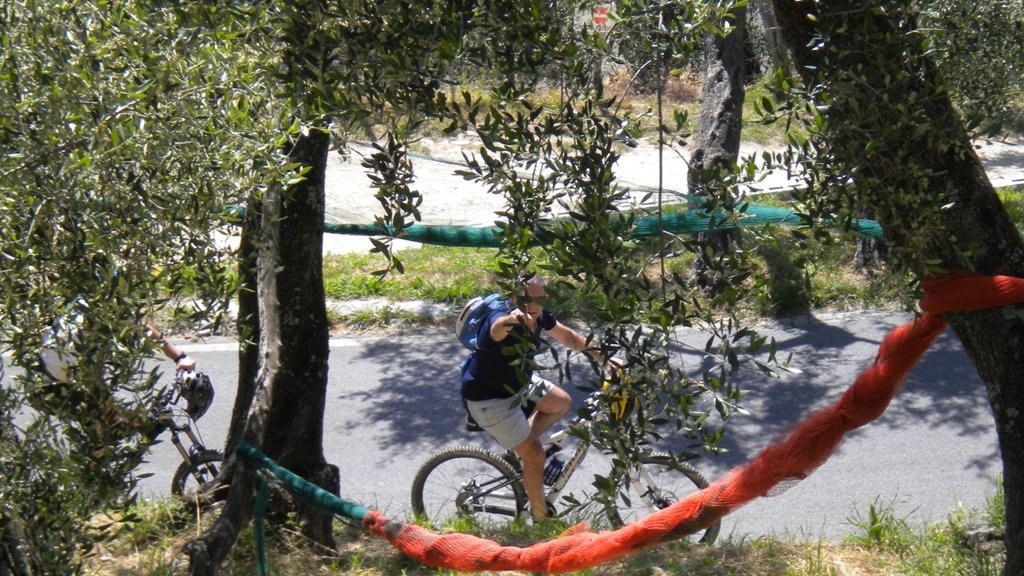dscn1044.jpg