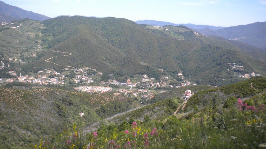 dscn1054.jpg