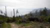 dscn1075_small.jpg
