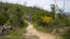 dscn1077_small.jpg