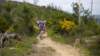 dscn1078_small.jpg