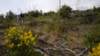 dscn1084_small.jpg