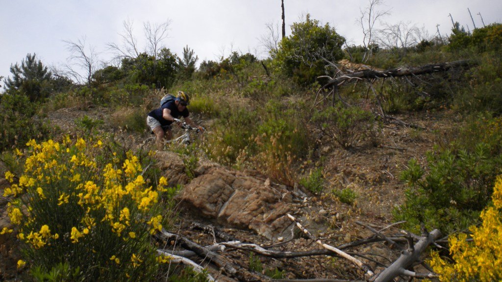 dscn1085.jpg