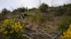 dscn1085_small.jpg