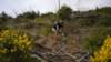 dscn1086_small.jpg
