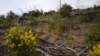 dscn1087_small.jpg
