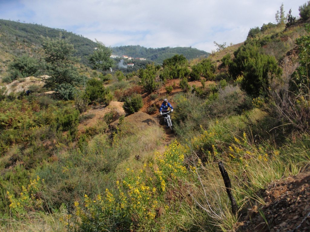 pa030110.jpg