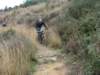 dsc05721_small.jpg