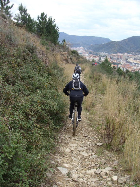 dsc05727.jpg