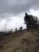 dsc05755_small.jpg