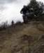 dsc05758_small.jpg