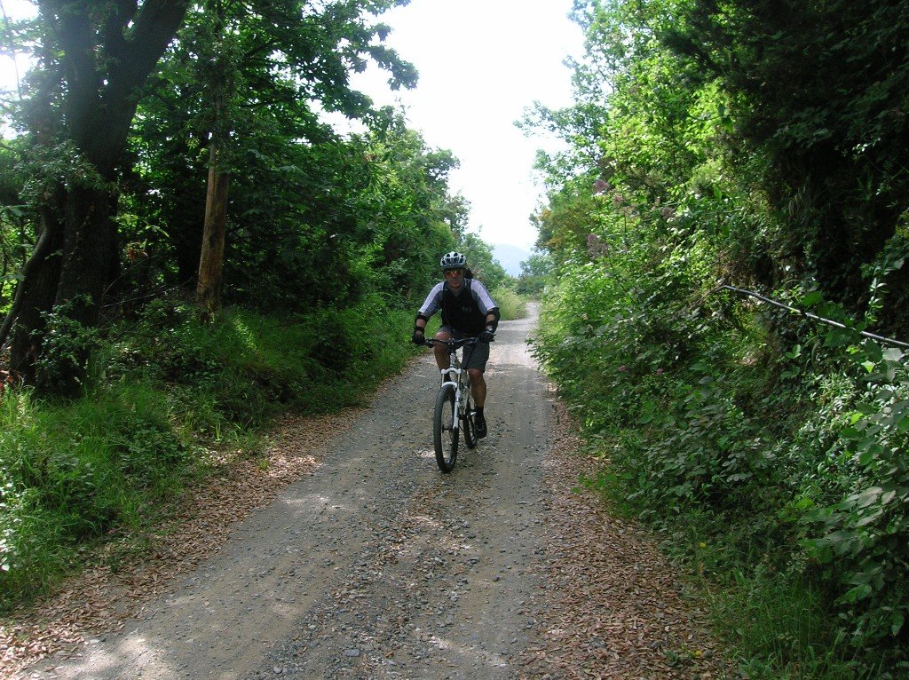 brekka130610013.jpg