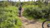 dscn0767_small.jpg