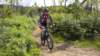 dscn0768_small.jpg