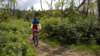 dscn0772_small.jpg
