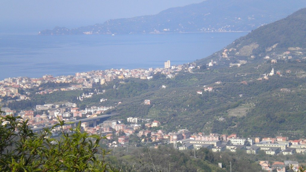 dscn0502.jpg