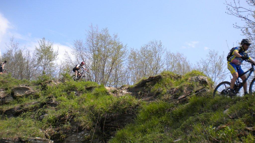dscn0542.jpg