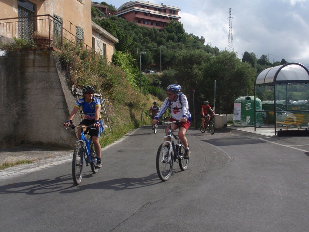 p6130043.jpg