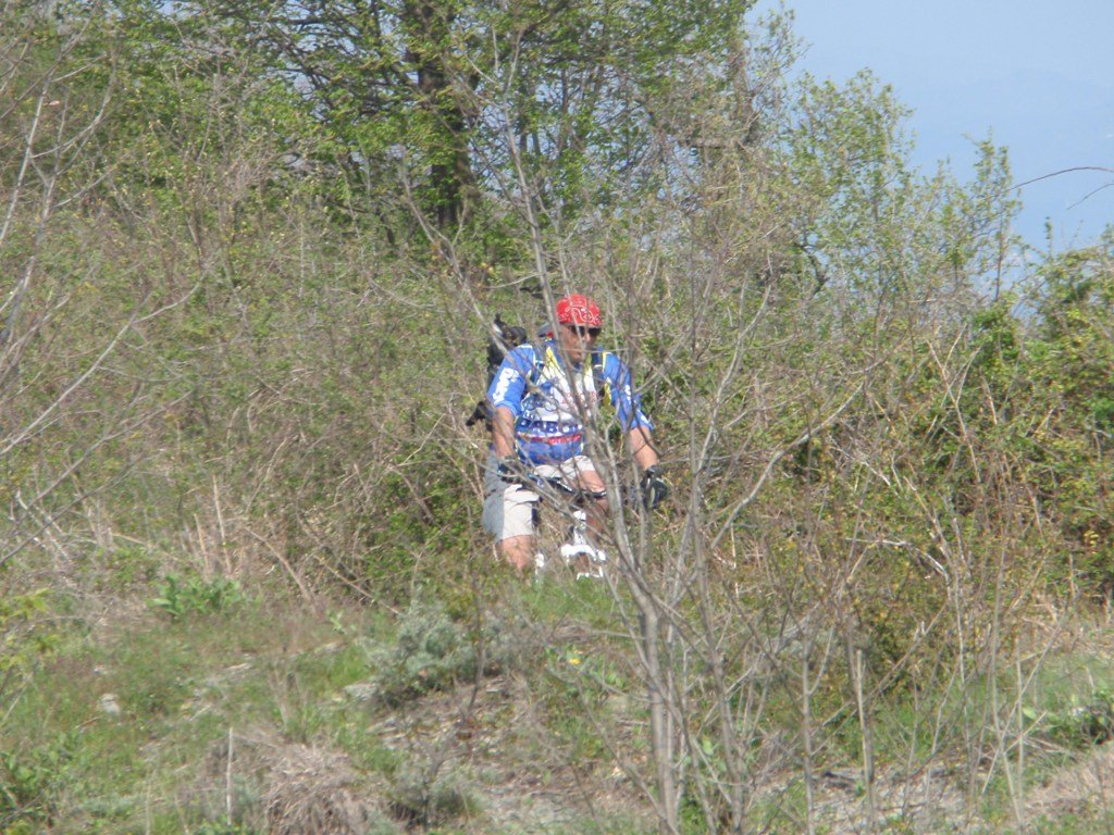 p4250092.jpg