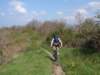 p4250094_small.jpg
