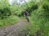 dsc03930_small.jpg