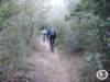 dsc03038_small.jpg