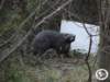 dsc03060_small.jpg