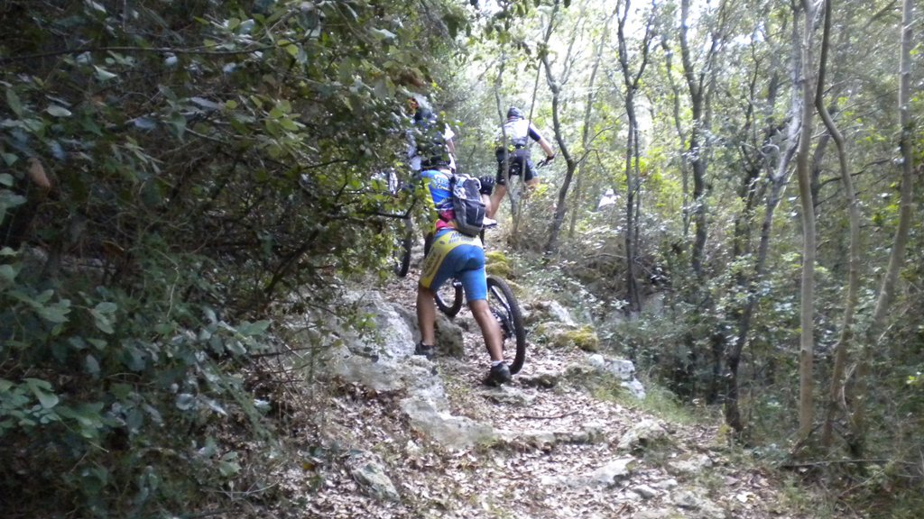 dscn1961.jpg