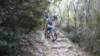 dscn1961_small.jpg