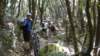 dscn1962_small.jpg