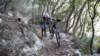 dscn1964_small.jpg