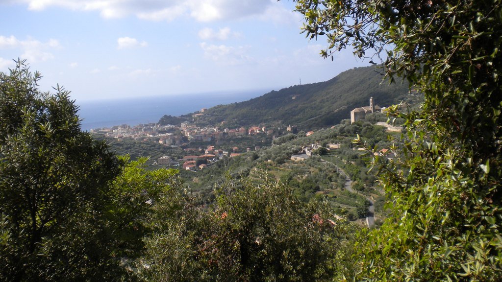 dscn1965.jpg