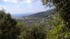 dscn1965_small.jpg