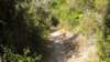 dscn1966_small.jpg