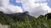 dscn1977_small.jpg
