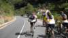 dscn1981_small.jpg
