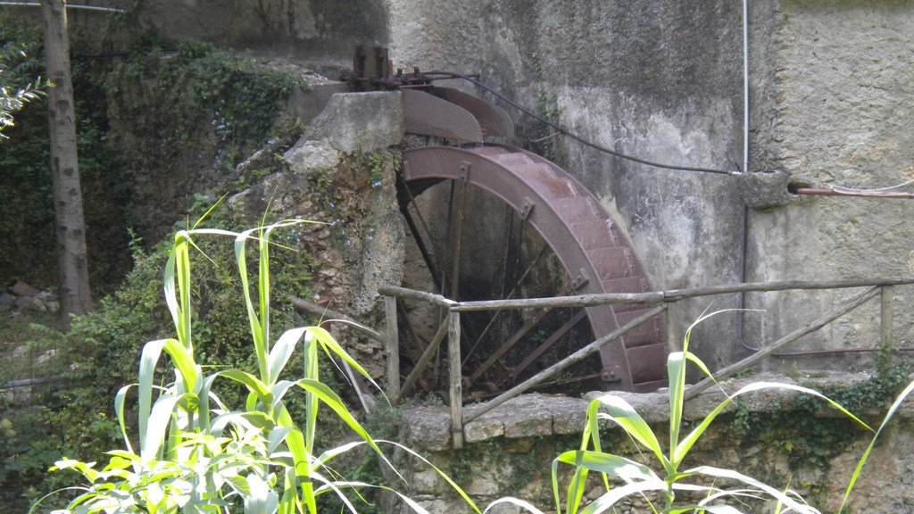 dscn1983.jpg