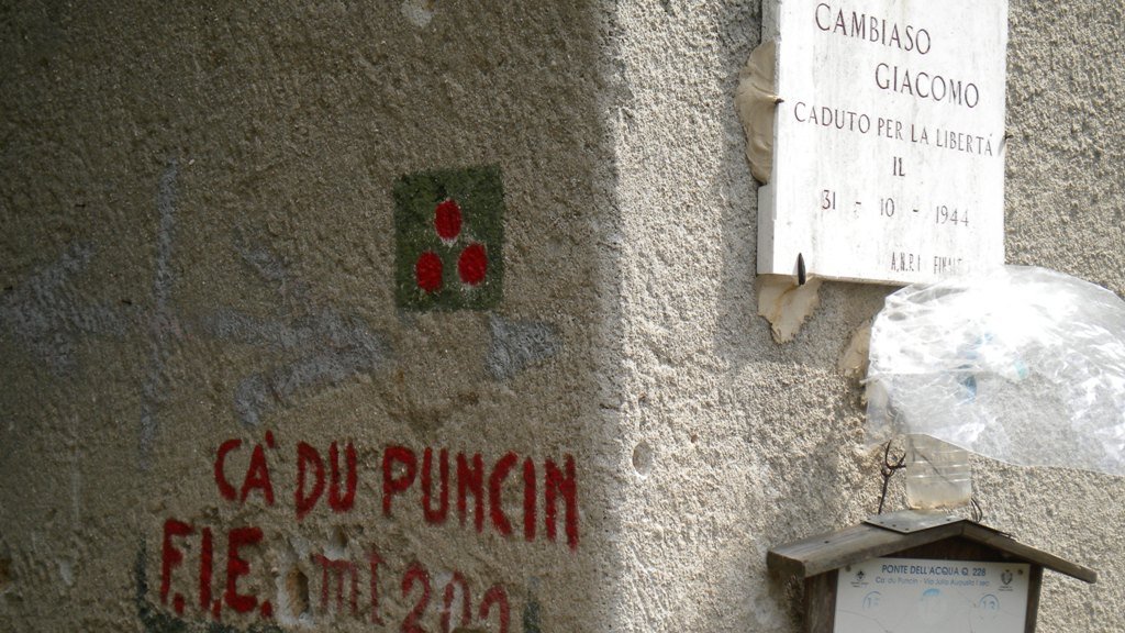 dscn1993.jpg