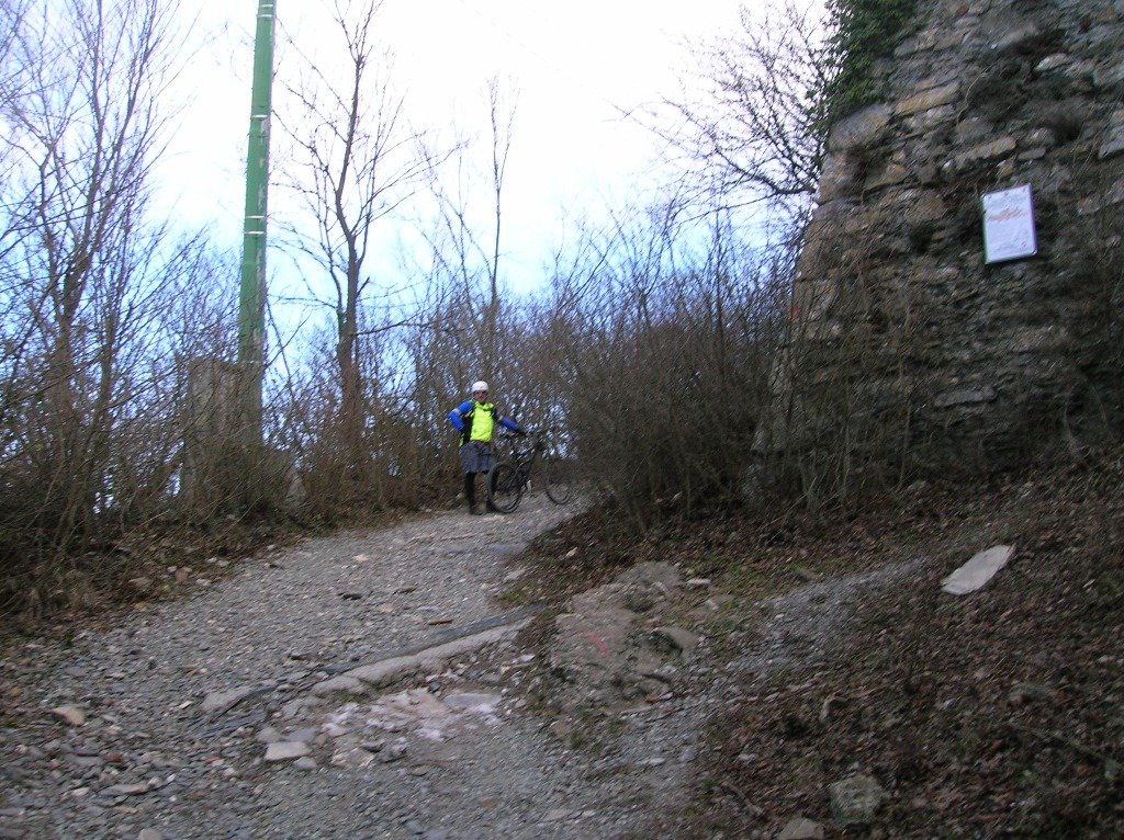 righi008.jpg