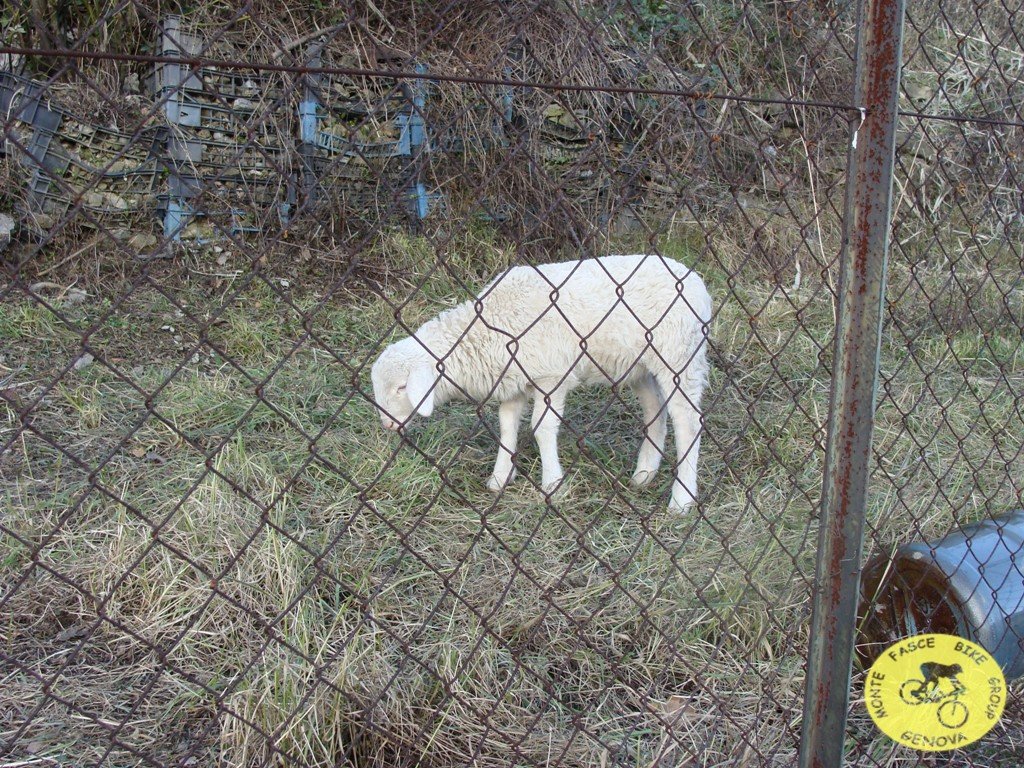 dsc02900.jpg