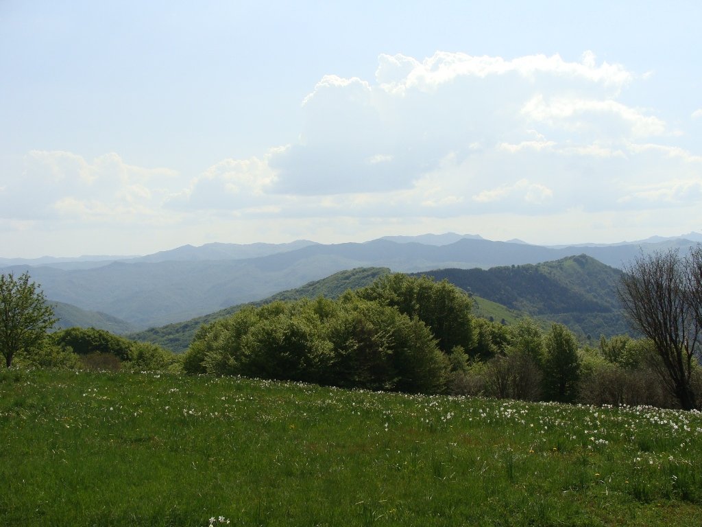 dsc04105.jpg