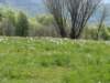 dsc04106_small.jpg