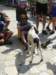 dsc04111_small.jpg