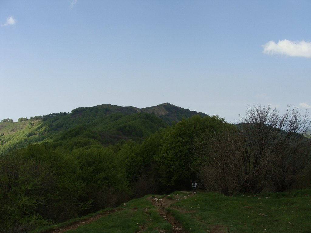 dsc04117.jpg