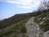 dscn0377_small.jpg