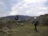 dscn0385_small.jpg