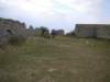 dscn0386_small.jpg