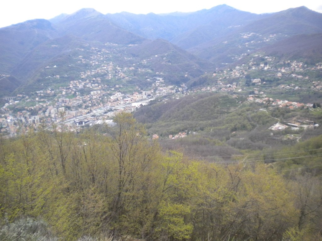 dscn0387.jpg