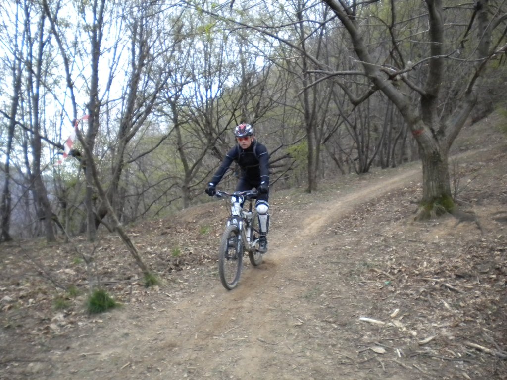 dscn0395.jpg